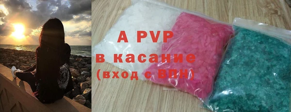 эйфоретик Няндома