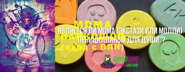 эйфоретик Няндома