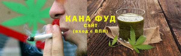 эйфоретик Няндома