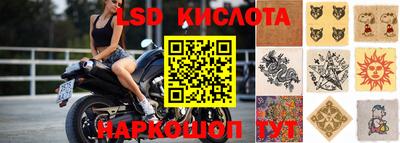 стаф Берёзовский