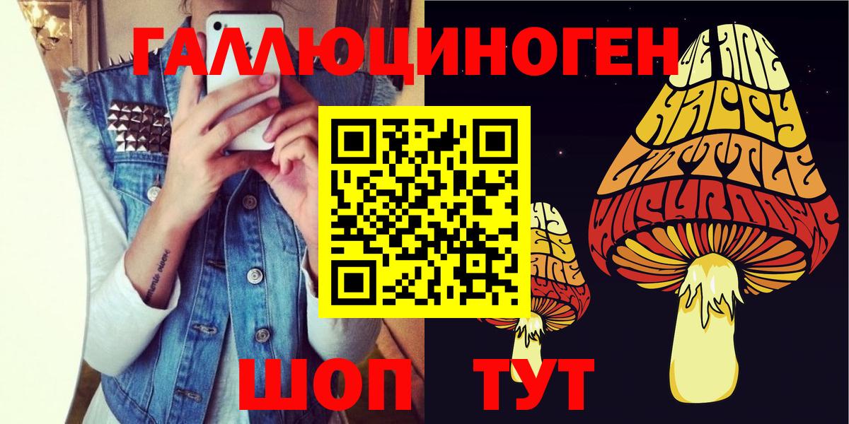 Псилоцибиновые грибы Psilocybe  Вход с VPN  закладки  Каменск-Уральский 