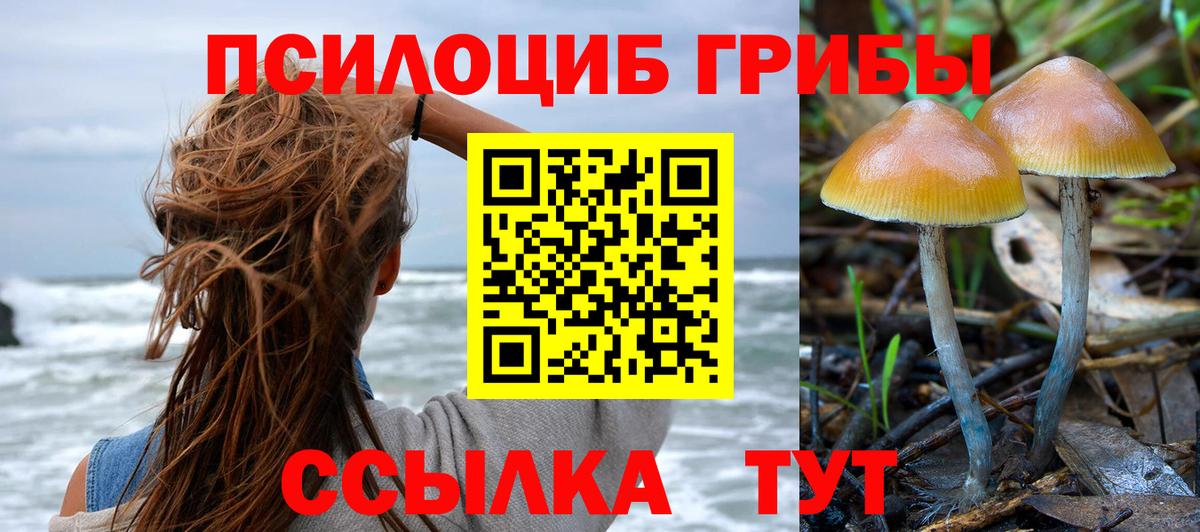 Псилоцибиновые грибы ЛСД Каменск-Уральский