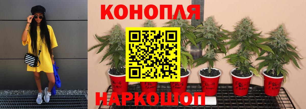 Каннабис конопля Каменск-Уральский